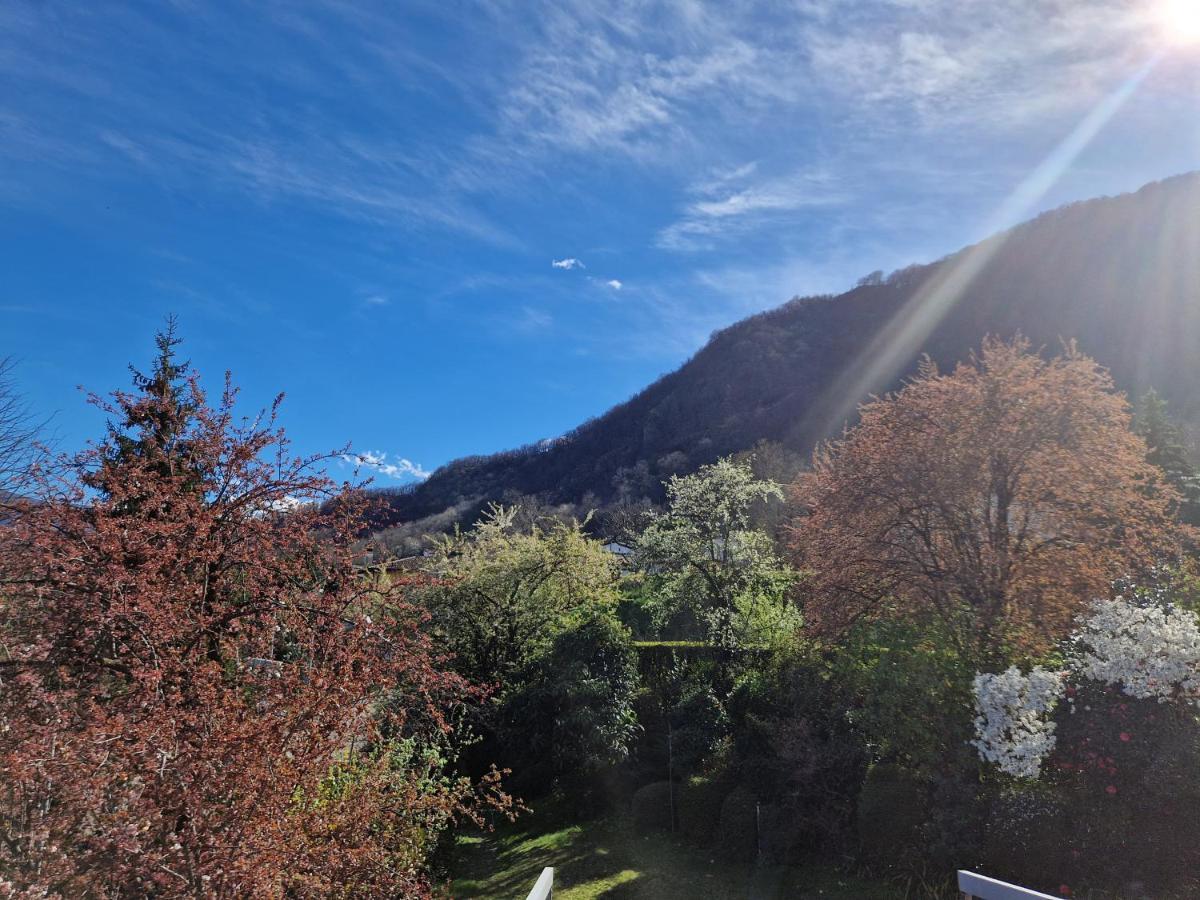 Hotel Zelindo Losone Exterior photo