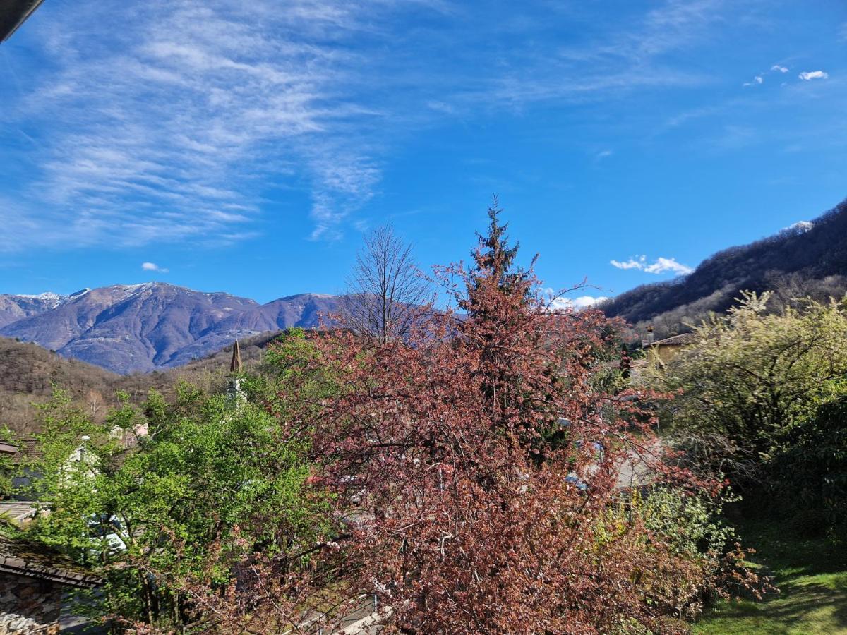 Hotel Zelindo Losone Exterior photo